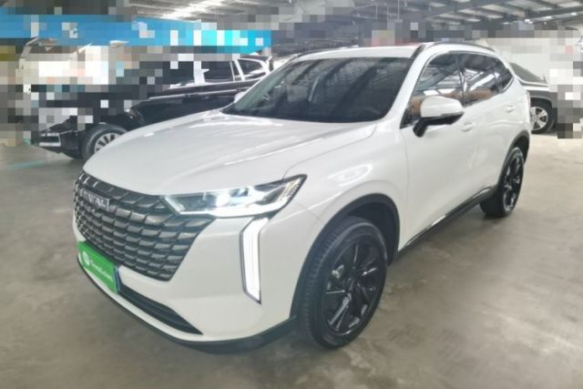 Used Haval H6 2024 2.0T All-Wheel Drive Max