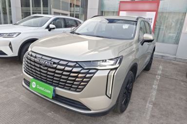 Used Haval H6 2024 1.5T Two-Wheel Drive Ultra