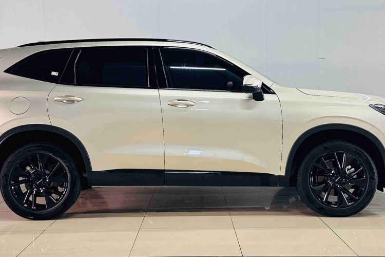 Used Haval H6 2024 1.5T Two-Wheel Drive Pro Exterior 2
