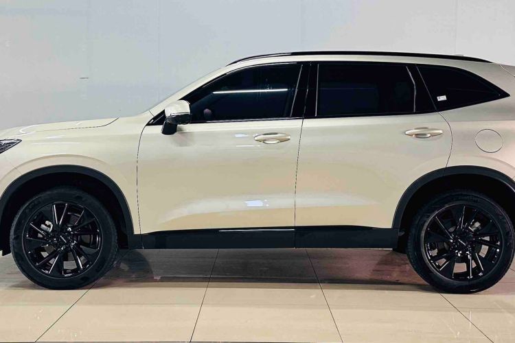Used Haval H6 2024 1.5T Two-Wheel Drive Pro Exterior 3