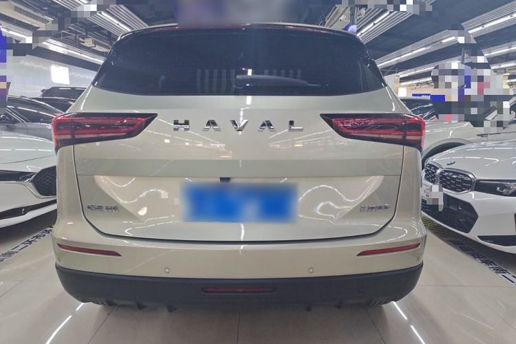 Used Haval H6 2024 1.5T Two-Wheel Drive Ultra Exterior 4