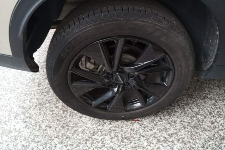 Used Haval H6 2024 1.5T Two-Wheel Drive Ultra Exterior 5