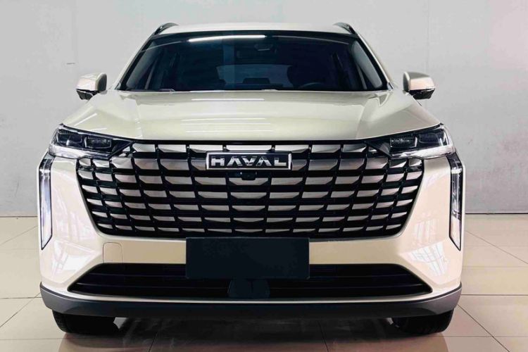 Used Haval H6 2024 1.5T Two-Wheel Drive Pro Exterior 8