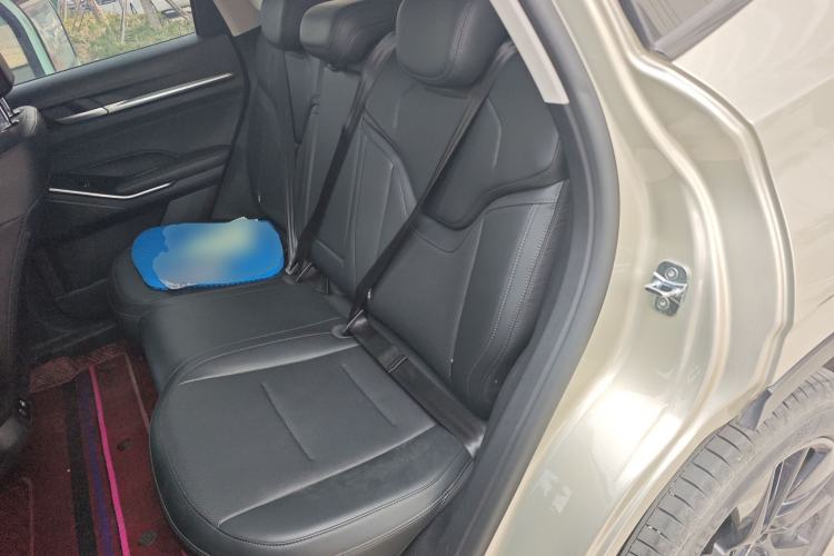 Used Haval H6 2024 1.5T Two-Wheel Drive Ultra Left Rear Seat