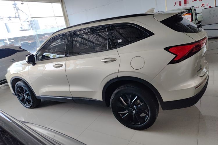 Used Haval H6 2024 1.5T Two-Wheel Drive Ultra Left Side