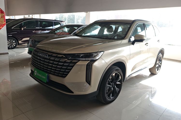 Used Haval H6 2024 1.5T Two-Wheel Drive Ultra Left Side