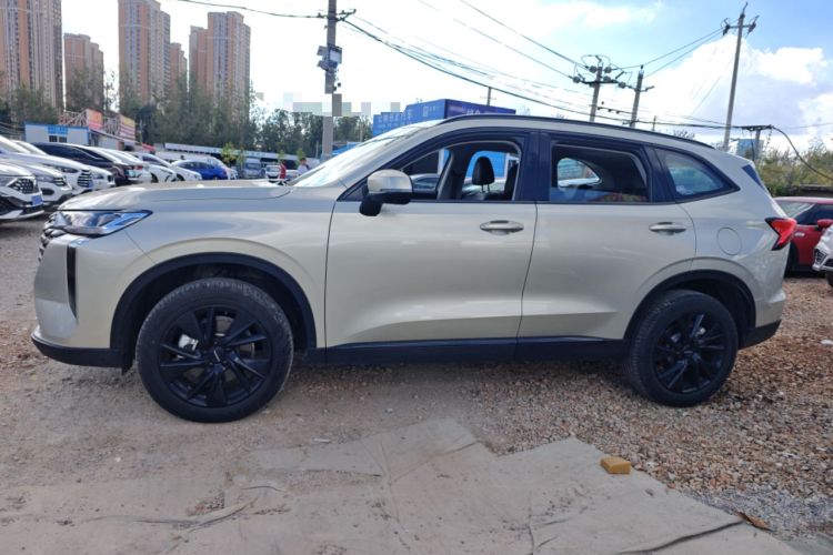 Used Haval H6 2024 2.0T All-Wheel Drive Max Left Side