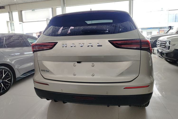 Used Haval H6 2024 1.5T Two-Wheel Drive Ultra Rear