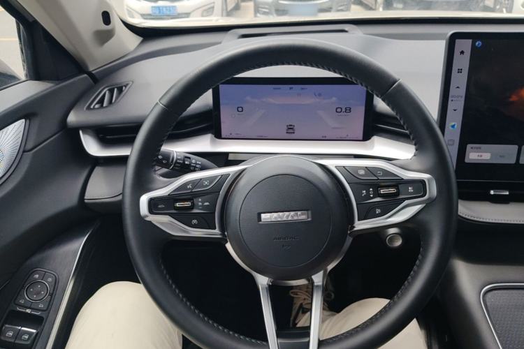 Used Haval H6 2024 1.5T Two-Wheel Drive Ultra Steering Wheel