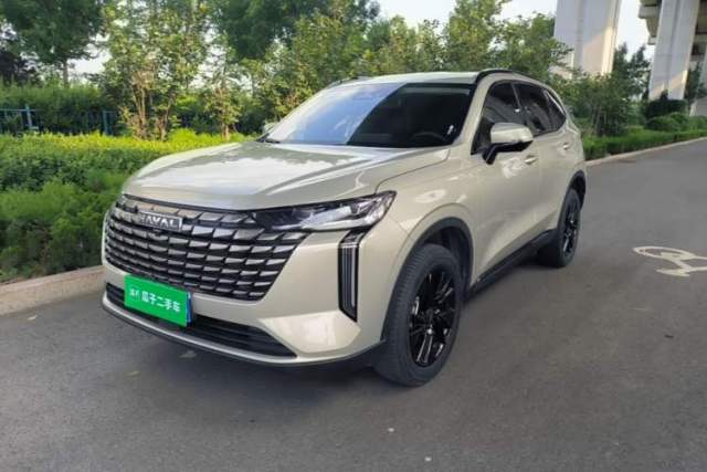 Used Haval H6 2024 1.5T Two-Wheel Drive Ultra