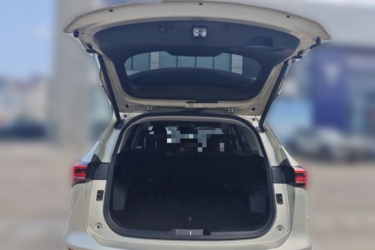 Used Haval H6 2024 1.5T Two-Wheel Drive Ultra Trunk