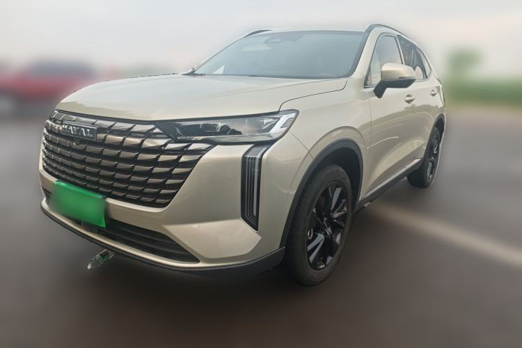 Haval H6 2024 1.5T Two-Wheel Drive Max