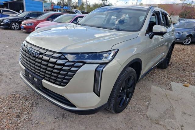 Haval H6 2024 2.0T All-Wheel Drive Max d’occasion