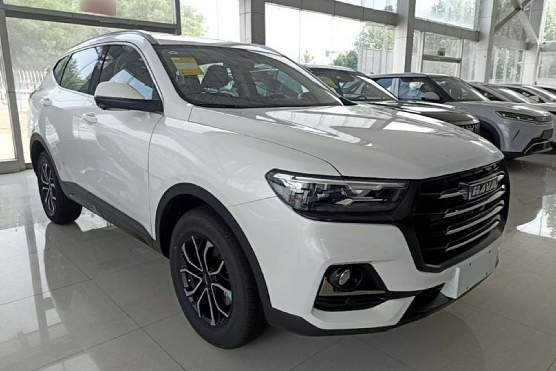 Used Haval H6 2025 1.5T National Style Urban Edition Exterior 1