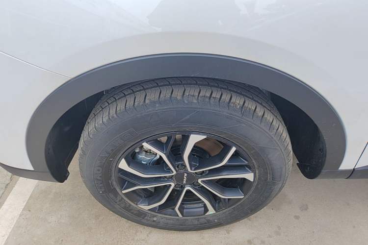 Used Haval H6 2025 1.5T National Style Urban Edition Exterior 4