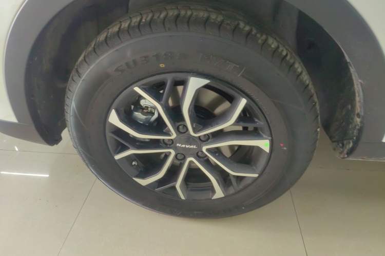 Used Haval H6 2025 1.5T National Style Urban Edition Exterior 4