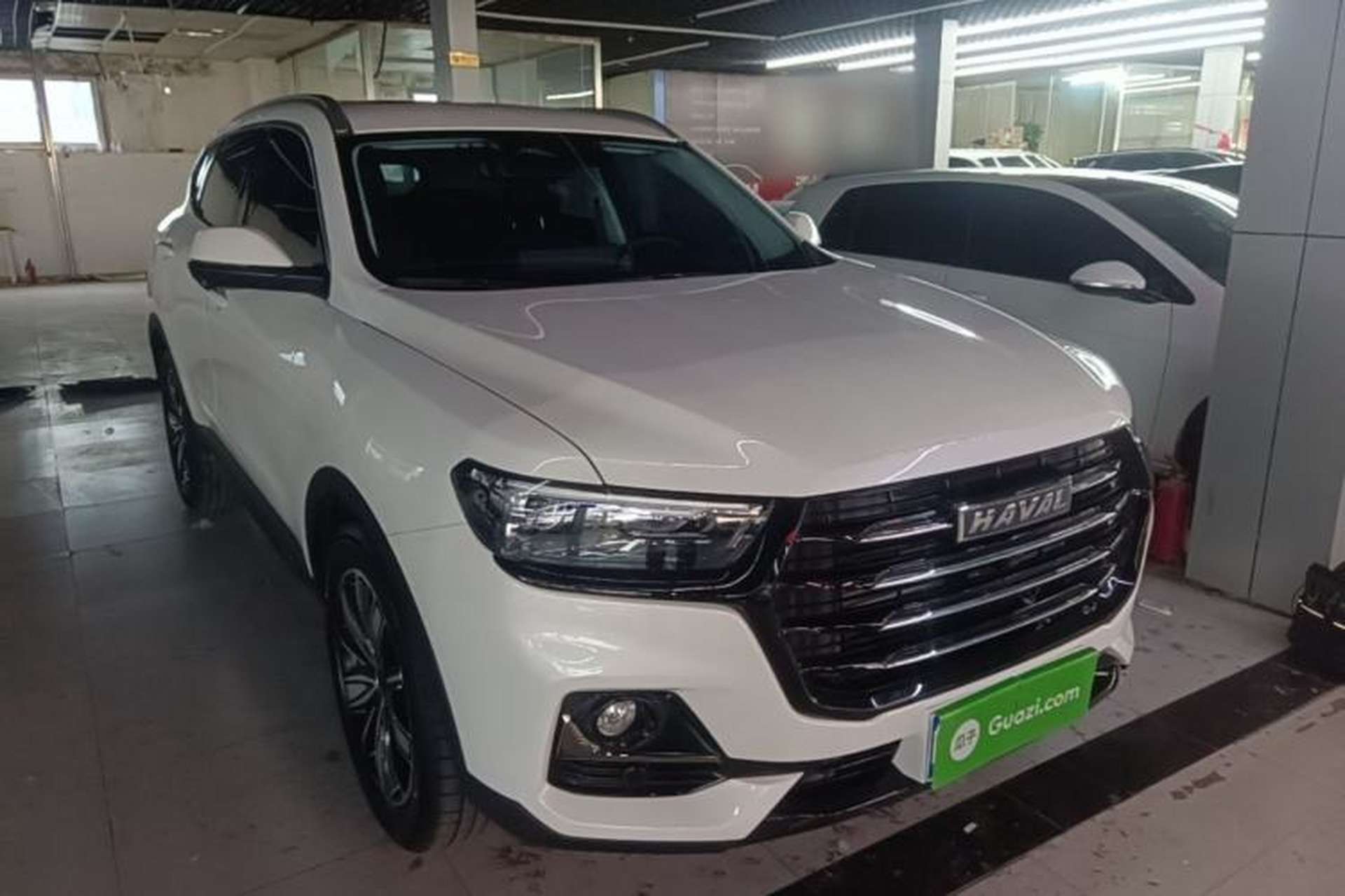 Used Haval H6 2025 1.5T National Trend Champion Edition Front Right 45 Deg