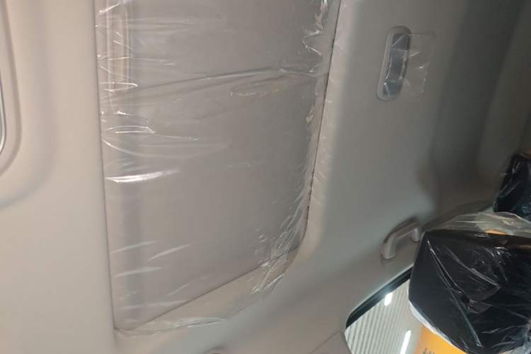 Used Haval H6 2025 1.5T National Style Urban Edition Headliner