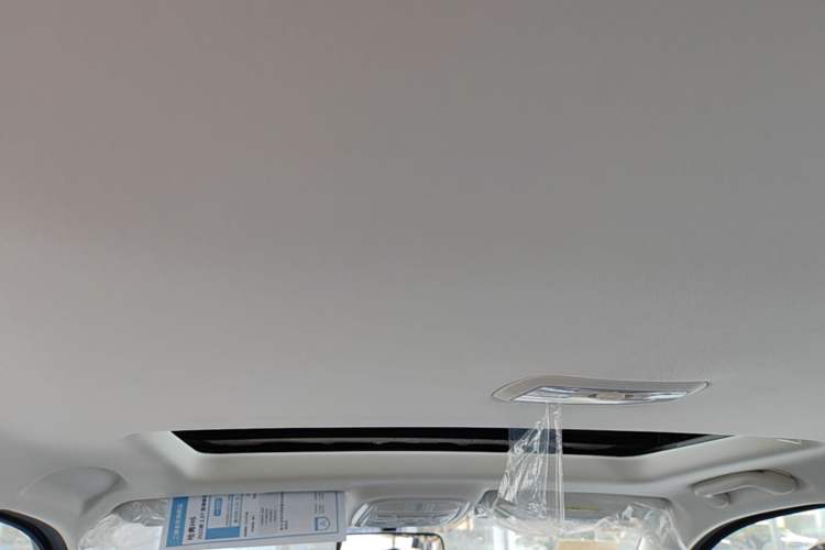 Used Haval H6 2025 1.5T National Style Urban Edition Headliner