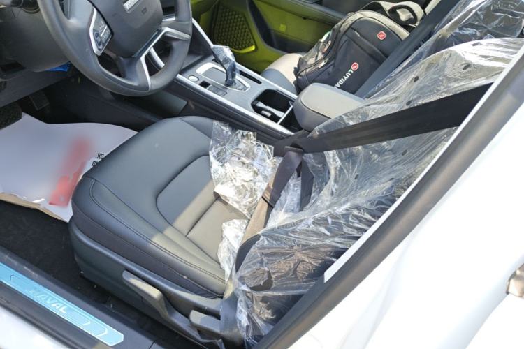 Used Haval H6 2025 1.5T National Style Urban Edition Left Front Seat