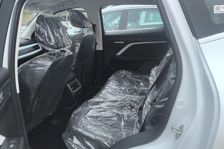 Used Haval H6 2025 1.5T National Trend Champion Edition Left Rear Seat