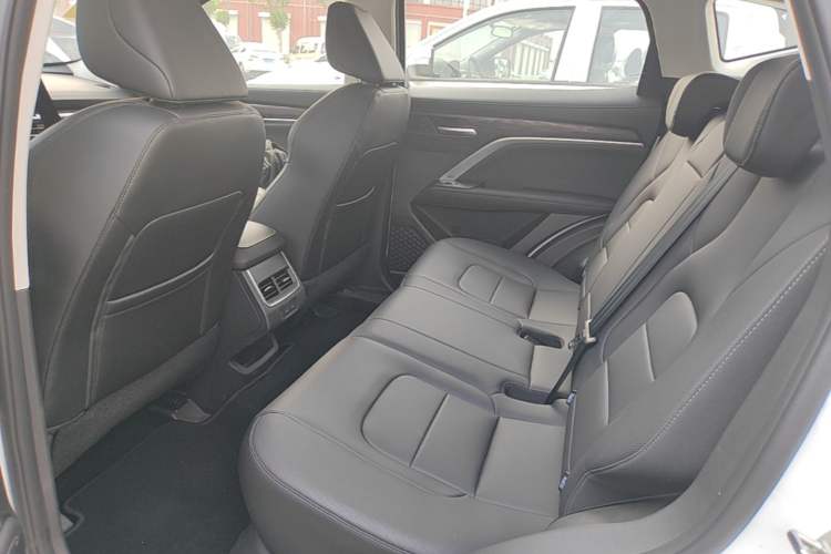 Used Haval H6 2025 1.5T National Style Urban Edition Left Rear Seat