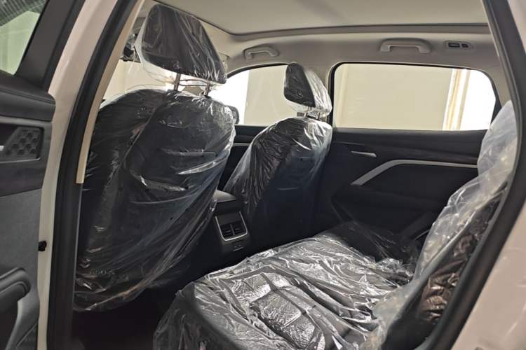 Used Haval H6 2025 1.5T National Trend Champion Edition Left Rear Seat