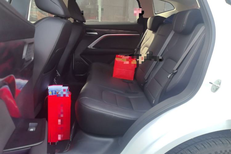Used Haval H6 2025 1.5T National Style Urban Edition Left Rear Seat