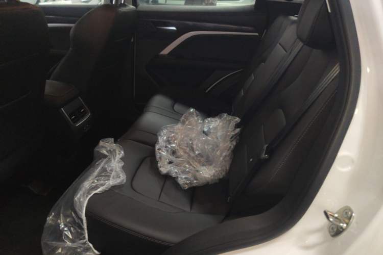 Used Haval H6 2025 1.5T National Style Urban Edition Left Rear Seat