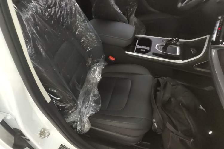 Used Haval H6 2025 1.5T National Style Urban Edition Right Front Seat