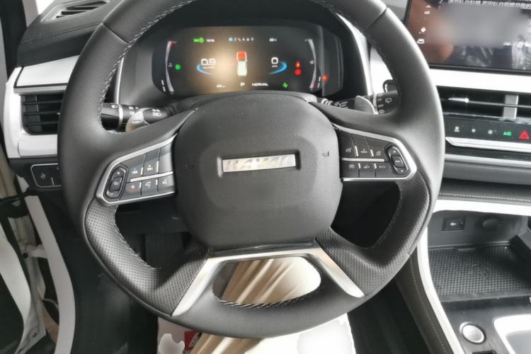 Used Haval H6 2025 1.5T National Trend Champion Edition Steering Wheel