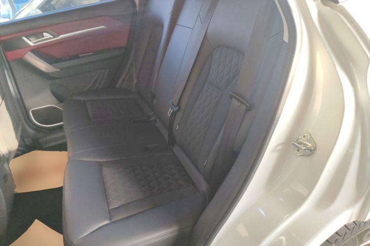 Used Haval H6 Coupe 2020 Smart Connect Version 1.5T Automatic Two-Wheel Drive Elite Model Left Rear Seat