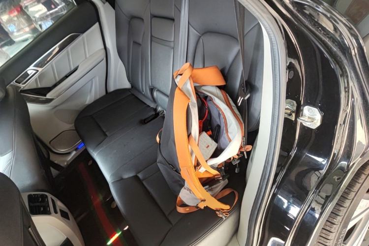 Used Haval H6 Coupe 2015 Blue Label 2.0T Manual Two-Wheel-Drive Elite Model Left Rear Seat