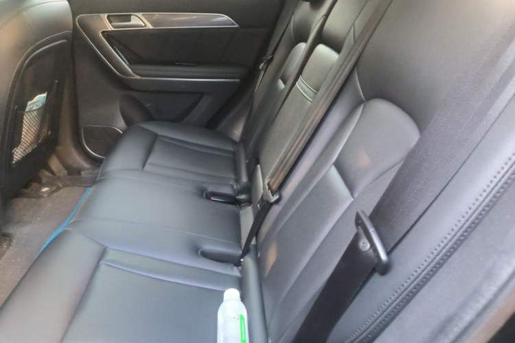 Used Haval H6 Coupe 2015 Blue Label 2.0T Manual Two-Wheel-Drive Elite Model Left Rear Seat