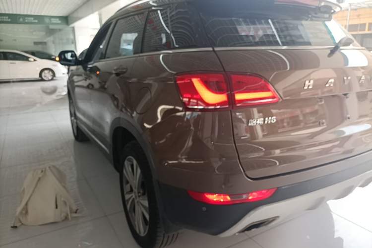 Used Haval H6 Coupe 2015 Blue Label 2.0T Manual Two-Wheel-Drive Elite Model Rear Left 45 Deg