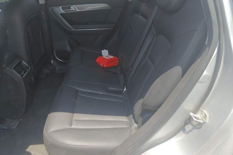 Used Haval H6 Coupe 2015 Blue Label 2.0T Manual Two-Wheel-Drive Elite Model Left Rear Seat