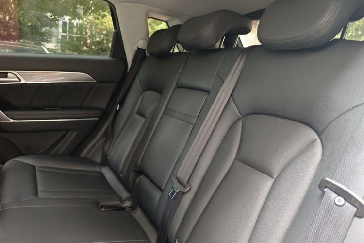 Used Haval H6 Coupe 2015 Blue-Label 2.0T Manual Two-Wheel Drive Prestige Model Left Rear Seat