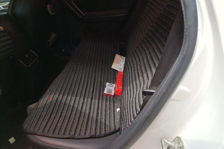 Used Haval H6 Coupe 2015 Blue Label 2.0T Manual Two-Wheel-Drive Elite Model Left Rear Seat