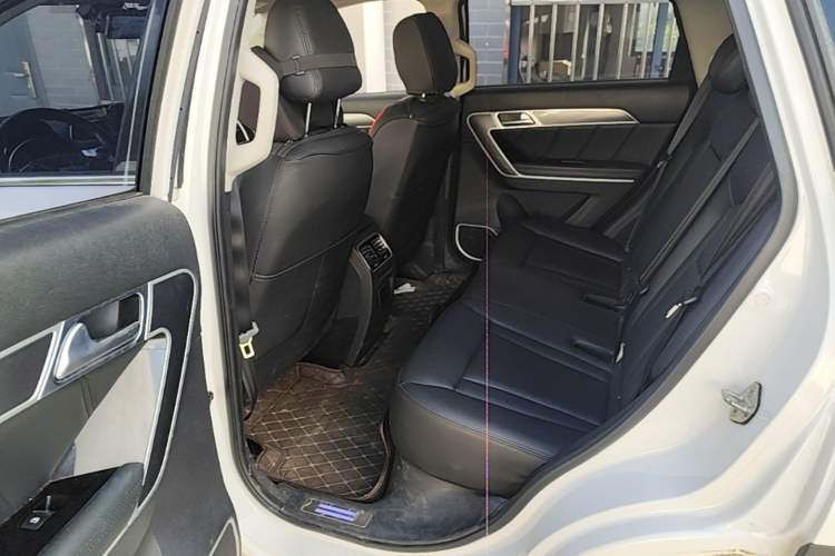 Used Haval H6 Coupe 2015 Blue Label 2.0T Automatic Two-Wheel Drive Elite Model Left Rear Seat
