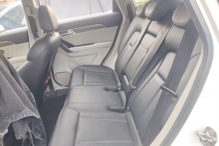 Used Haval H6 Coupe 2015 Blue-Label 2.0T Manual Two-Wheel Drive Prestige Model Left Rear Seat