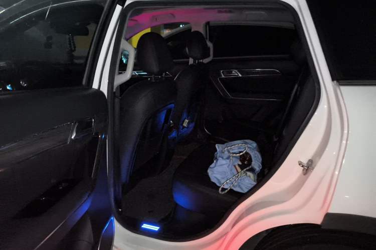 Used Haval H6 Coupe 2015 Blue-Label 2.0T Manual Two-Wheel Drive Prestige Model Left Rear Seat