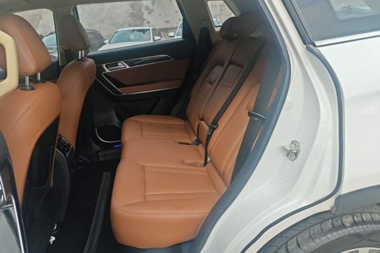 Used Haval H6 Coupe 2015 Blue Label 2.0T Automatic Two-Wheel Drive Prestige Model Left Rear Seat