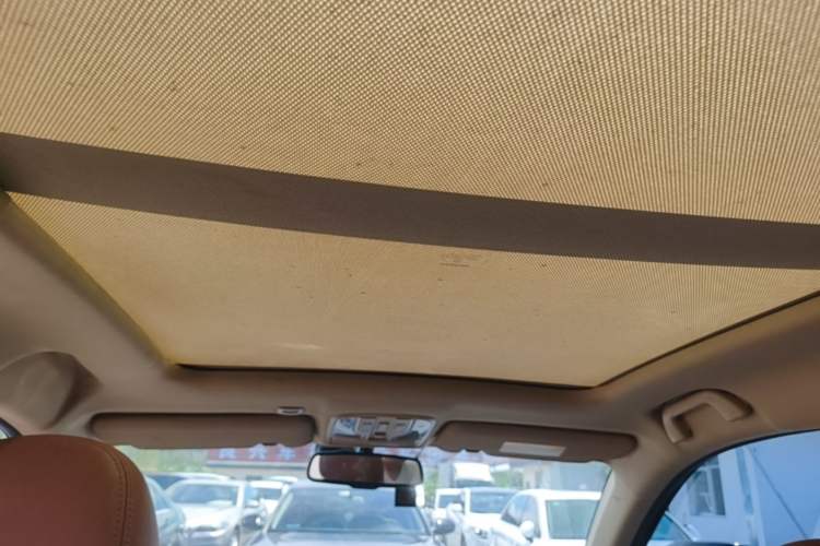 Used Haval H6 Coupe 2016 Blue Label 1.5T Automatic Two-Wheel Drive Elite Model Headliner
