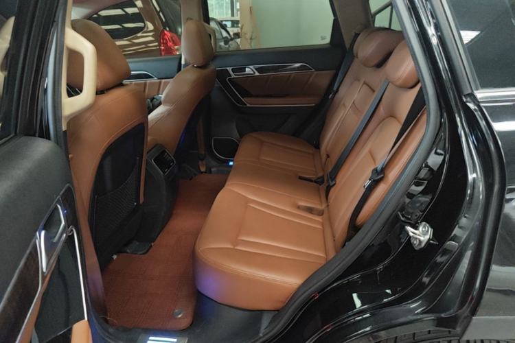 Used Haval H6 Coupe 2016 Blue Label 1.5T Automatic Two-Wheel Drive Elite Model Left Rear Seat