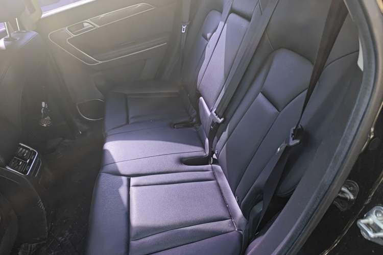 Used Haval H6 Coupe 2016 Blue Label 1.5T Manual Two-Wheel Drive Urban Model Left Rear Seat