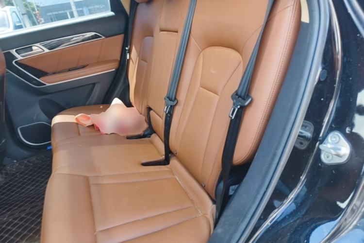 Used Haval H6 Coupe 2016 Blue Label 1.5T Automatic Two-Wheel Drive Elite Model Left Rear Seat