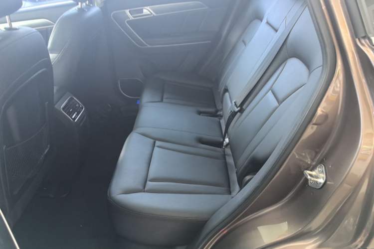 Used Haval H6 Coupe 2016 Blue Label 1.5T Manual Two-Wheel Drive Elite Model Left Rear Seat