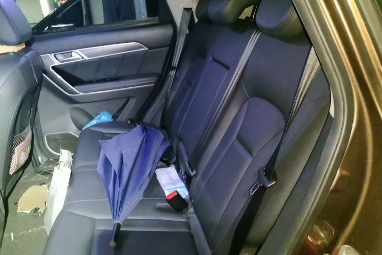 Used Haval H6 Coupe 2016 Blue Label 1.5T Automatic Two-Wheel Drive Elite Model Left Rear Seat