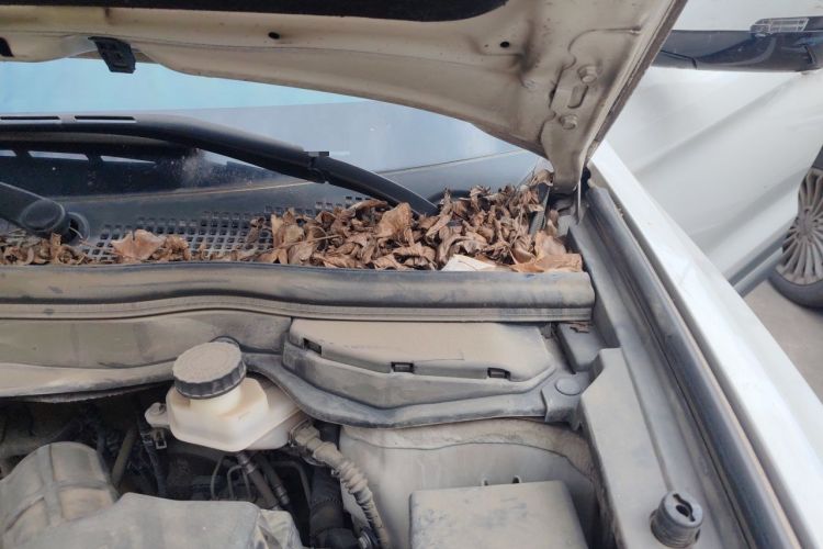 Used Haval H6 Coupe 2016 Blue Label 1.5T Manual Two-Wheel Drive Urban Model Engine Bay Left