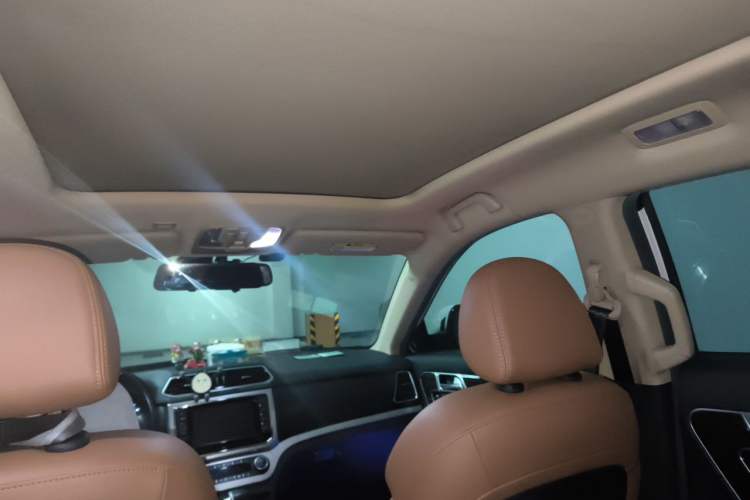 Used Haval H6 Coupe 2016 Blue Label 1.5T Automatic Two-Wheel Drive Urban Model Headliner
